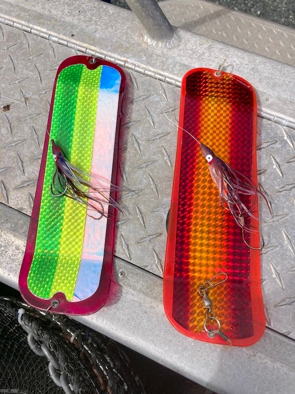 Tide Lines: The Turd Derby