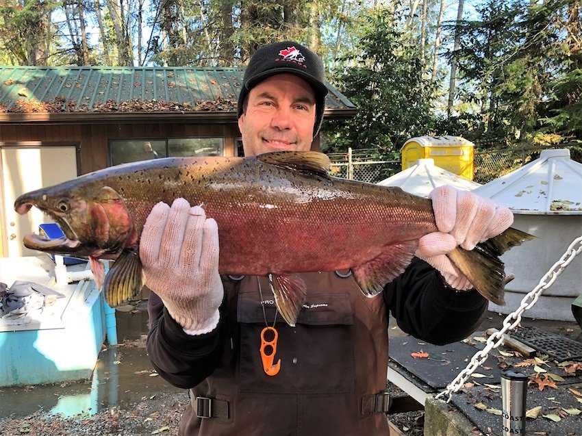 Healthy Fall-Run Chinook