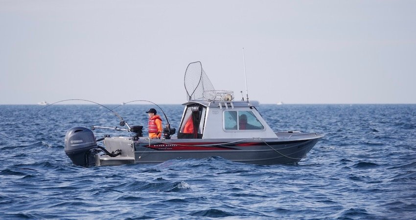 Healthy Fall-Run Chinook