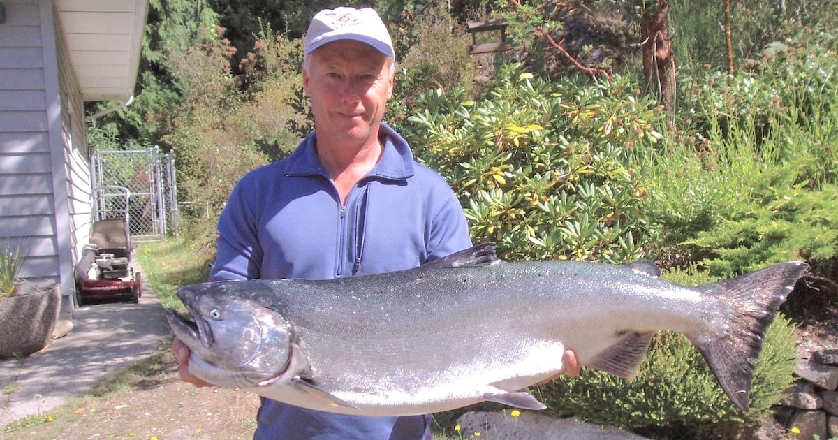 Man holding a large salmon fish outdoors, showcasing its size and features in a natural setting.