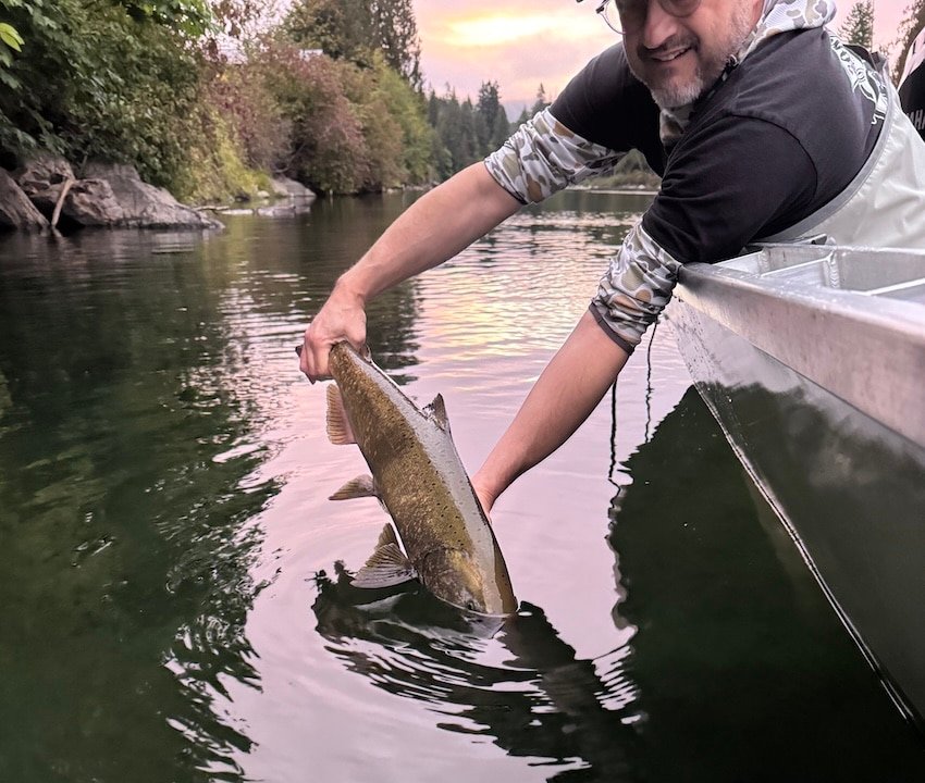 Salmon Fishing on the Stamp and Somass Rivers with Murphy's