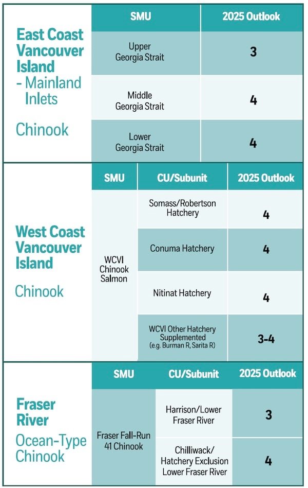Healthy Fall-Run Chinook