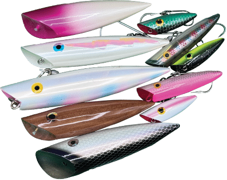 visual of what plugs look like and popular brands