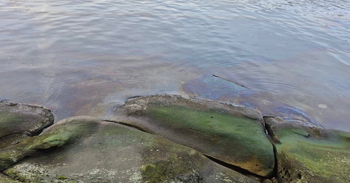 Nanaimo Diesel Spill