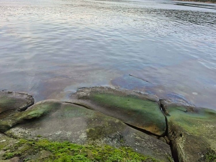 Rainbow Sheen Photo: Cable Bay Facebook Group