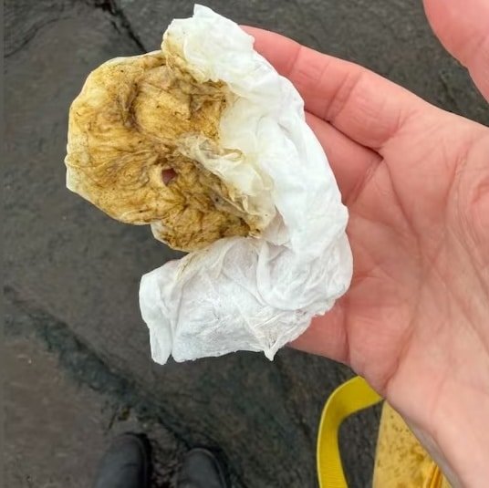 The residue of an oil spill wiped off rocks near Nanaimo's Duke Point Ferry Terminal on this piece of tissue paper, which resident Jackie Wasyluk wiped on a rock near Cable Bay