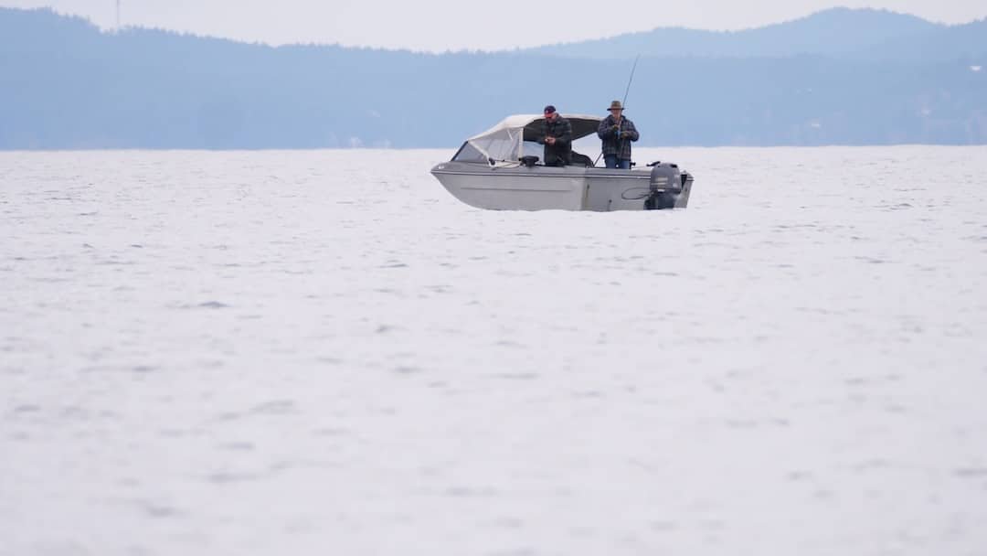 BC locals fishing for winter Chinook—what a way to spend a day