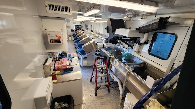 Automated clipping machines inside a tagging trailer preparing hatchery salmon for mark-selective fisheries.