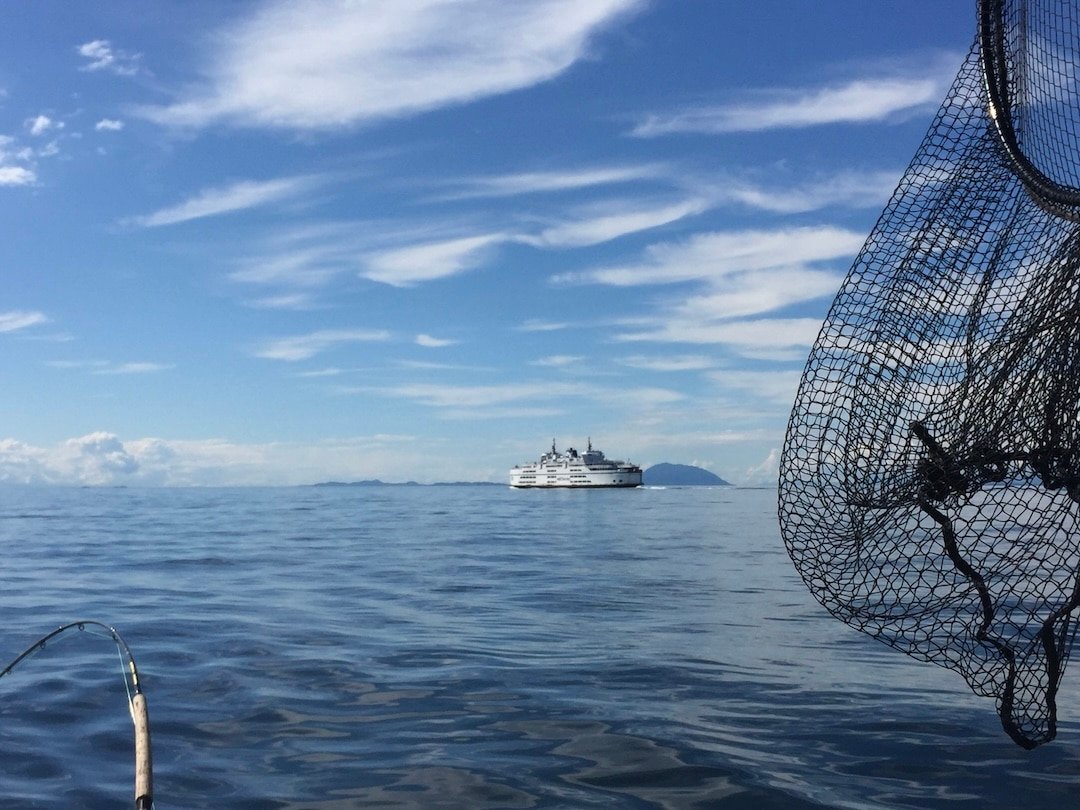 A view from the deck of a recreational fishing boat on the calm, blue waters near Nanaimo, British Columbia. In the foreground, a large black fishing net hangs to the right, and a fishing rod tip curves slightly over the water on the left. In the distance, a white and green BC Ferry travels across the horizon toward Nanaimo under a bright blue sky filled with wispy, elongated white clouds. Will the proposed change to the Salmon Allocation Policy Change this view?