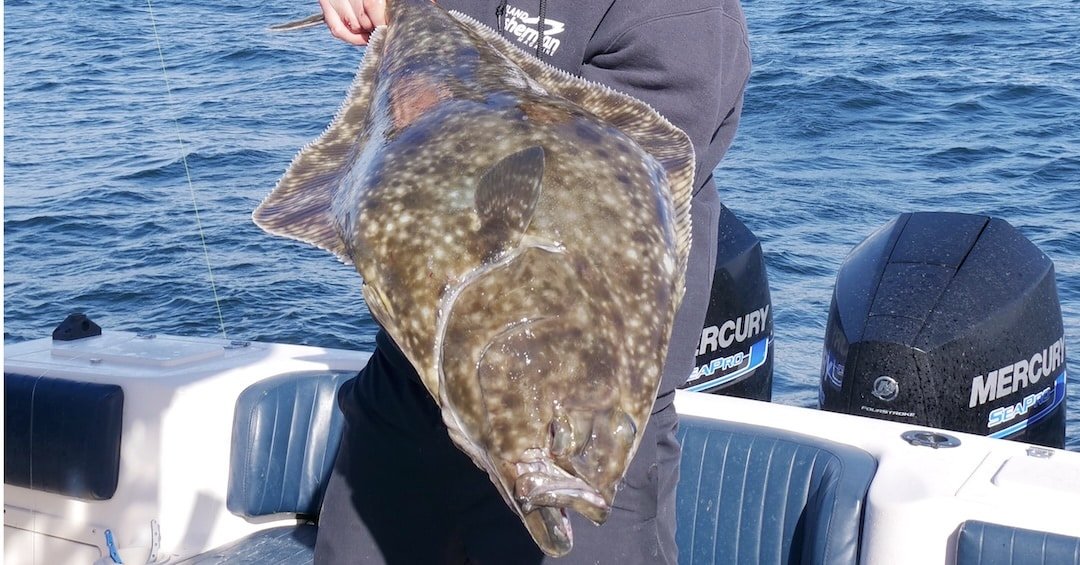 An eye-level, close-up shot of a person on a motorboat holding a large Pacific halibut they have just caught
