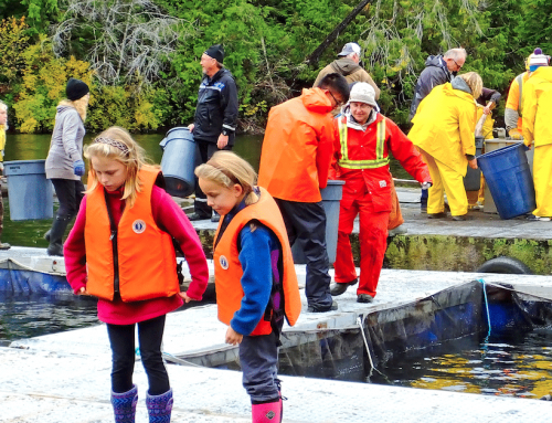 Inside the $3.8B Nature Strategy: Why BC Salmon Funding is Falling into a Stewardship Gap